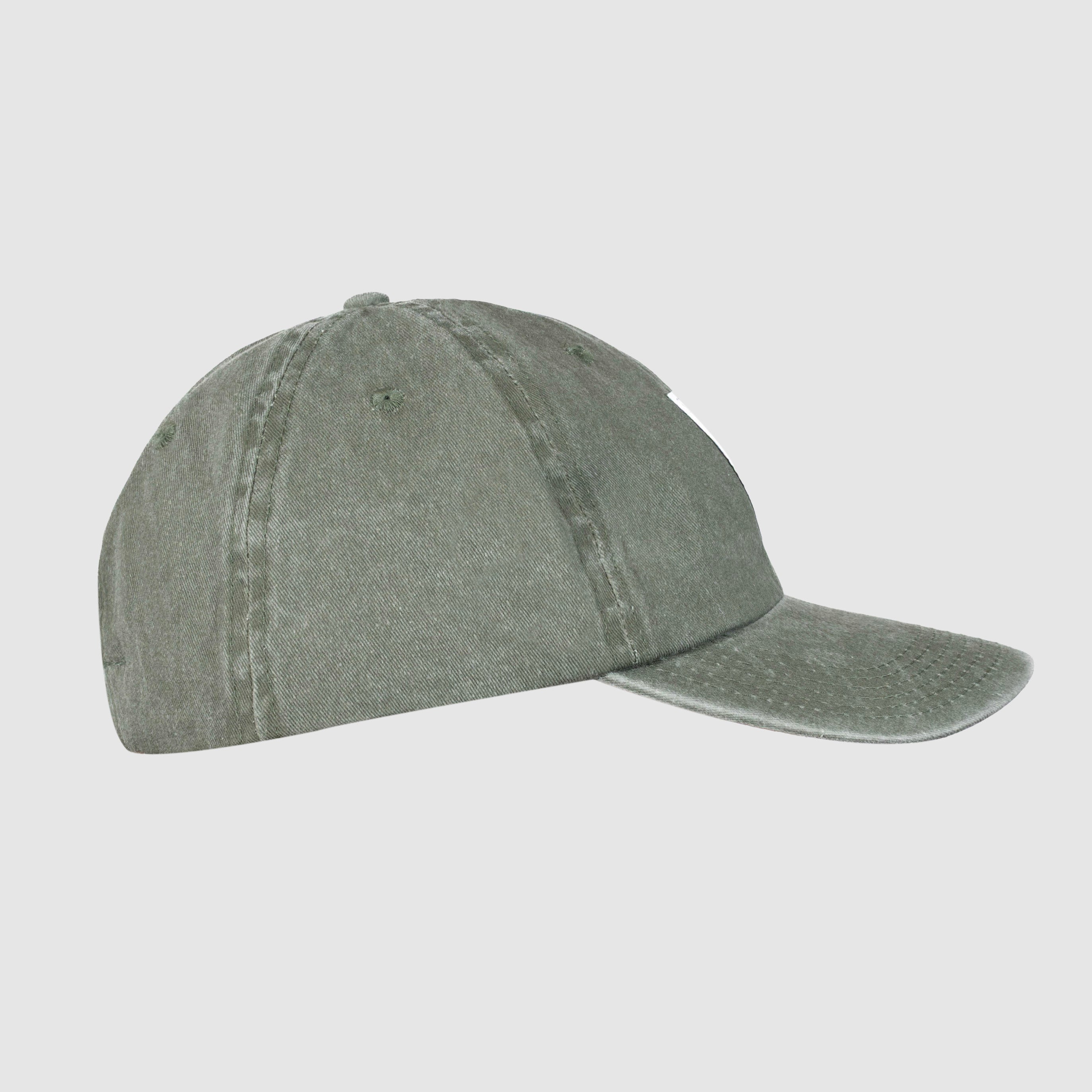 Coat Of Arms Strapback Cap Washed Green