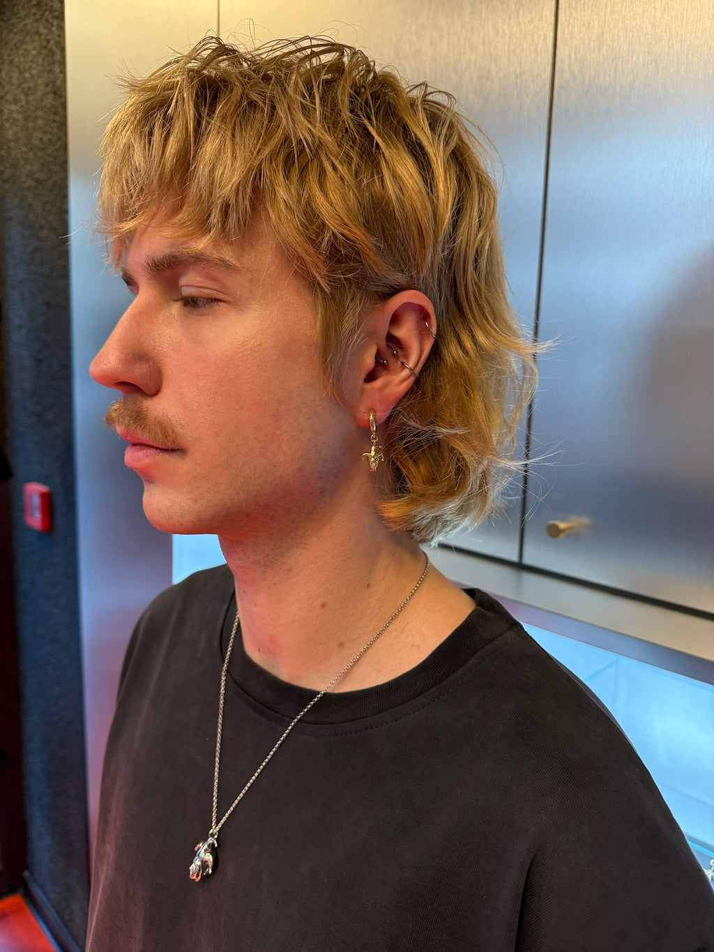 Stanissed Earring Gold