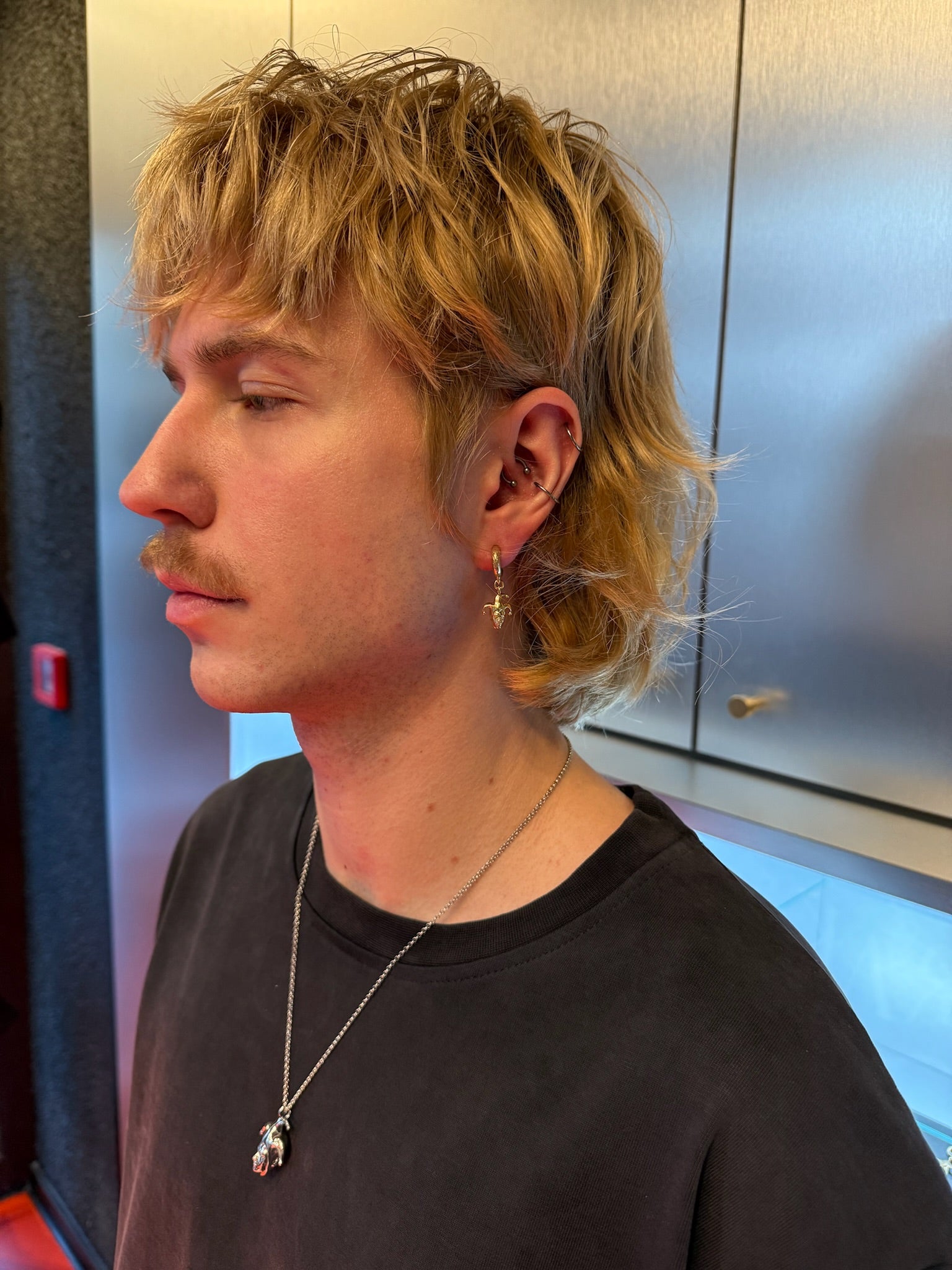 Stanissed Earring Gold